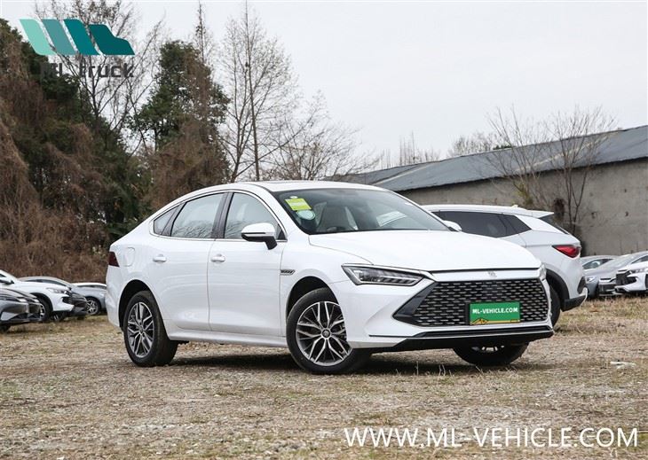 2024 BYD Qin Plus DMi Honor Edition