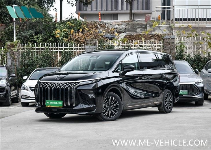 2024 DongFeng Forthing U-Tour V9 PHEV เอ็มพีวี