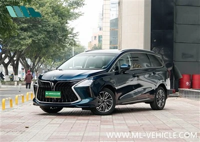 2024 DongFeng Forthing 1.5T DCT เรือยอชท์ MPV