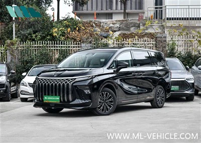 2024 DongFeng Forthing U-Tour V9 PHEV เอ็มพีวี