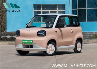 รถยนต์ ZHIDO Rainbow EV ปี 2024